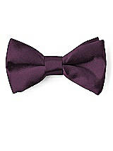 Front View Thumbnail - Aubergine Matte Satin Boy's Clip Bow Tie by After Six