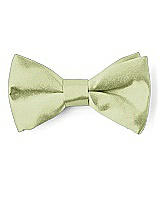 Front View Thumbnail - Mint Matte Satin Boy's Clip Bow Tie by After Six
