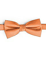 Side View Thumbnail - Clementine Classic Yarn-Dyed Bow Ties by After Six