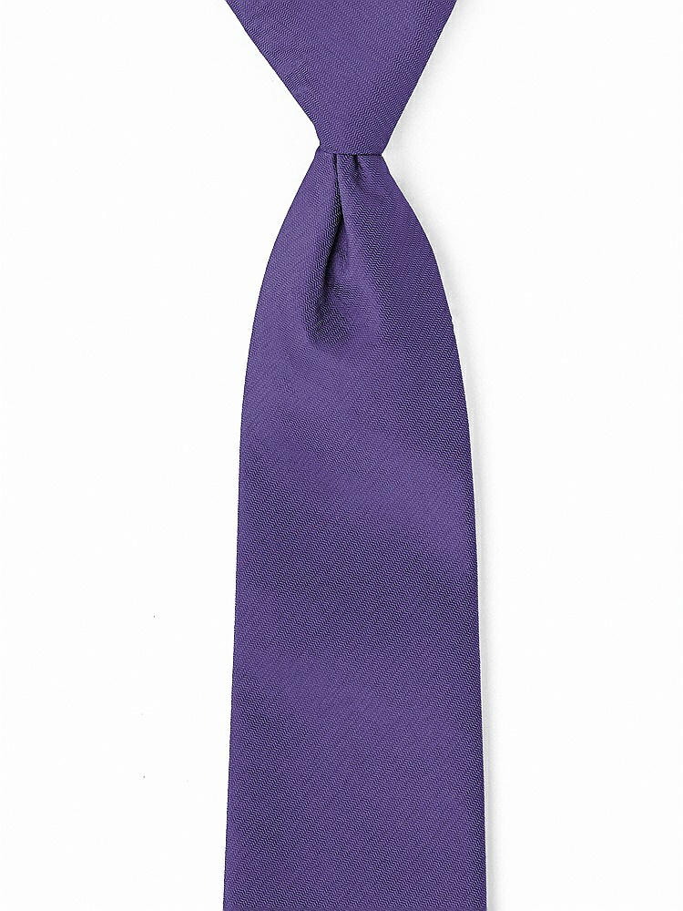 Front View - Regalia - PANTONE Ultra Violet Classic Yarn-Dyed Pre-Knotted Neckties by After Six