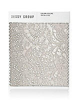 Front View Thumbnail - Oyster Sequin Lace Swatch