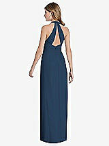 Rear View Thumbnail - Sofia Blue V-Neck Halter Chiffon Maxi Dress - Taryn