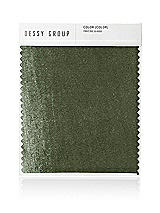 Front View Thumbnail - Sage Lux Velvet Swatch