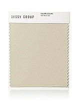 Front View Thumbnail - Champagne Neu Stretch Charmeuse Swatch