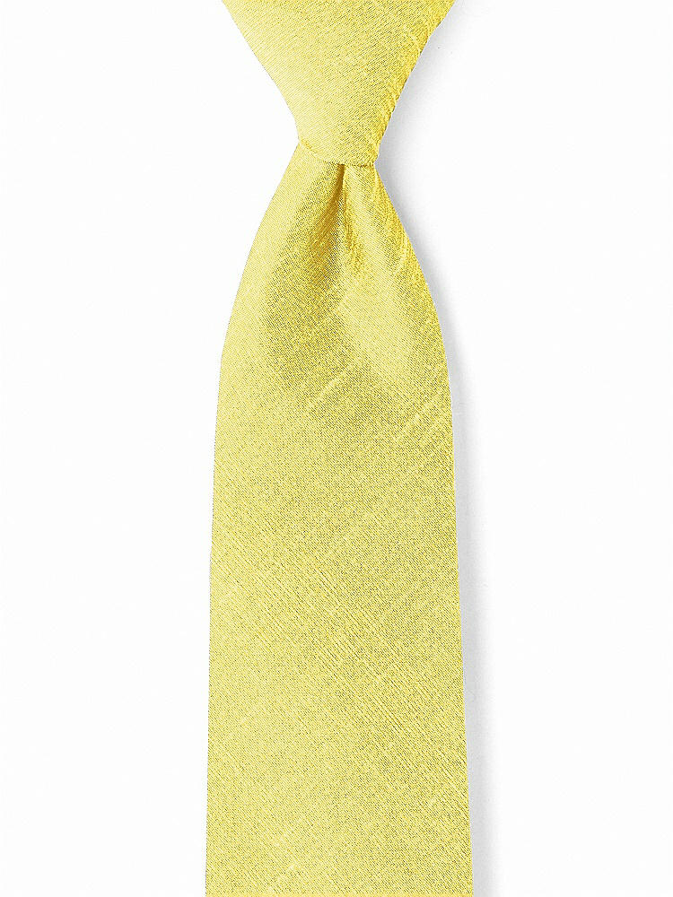 Front View - Daisy Dupioni Boy's 50" Necktie by After Six