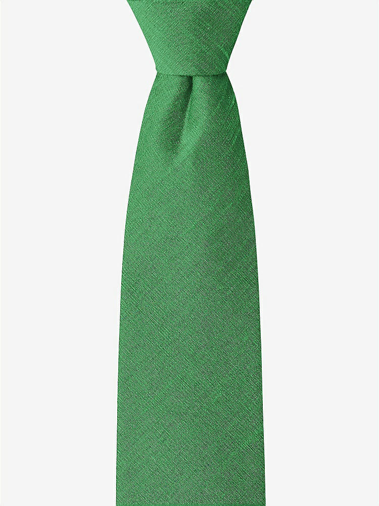 Front View - Ivy Dupioni Boy's 14" Zip Necktie by After Six