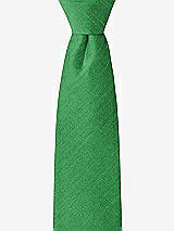 Front View Thumbnail - Ivy Dupioni Boy's 14" Zip Necktie by After Six
