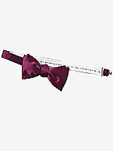 Rear View Thumbnail - Ruby Matte Satin Bow Ties by After Six