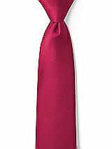 Front View Thumbnail - Valentine Matte Satin Boy's 14" Zip Necktie by After Six