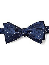 Side View Thumbnail - Sofia Blue/mist/ivory Modern Polka Dot Self-Tie Bow-Tie