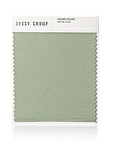 Front View Thumbnail - Sage Neu Stretch Charmeuse Swatch