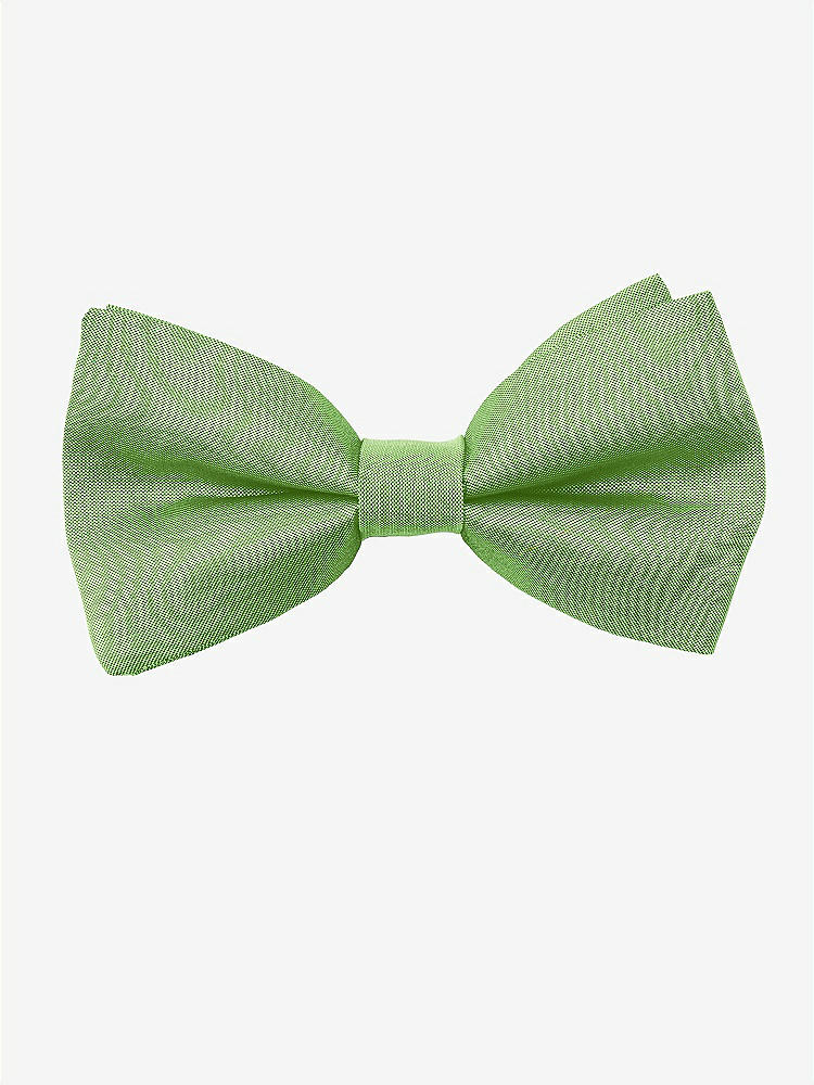 Front View - Appletini Peau de Soie Boy's Clip Bow Tie by After Six