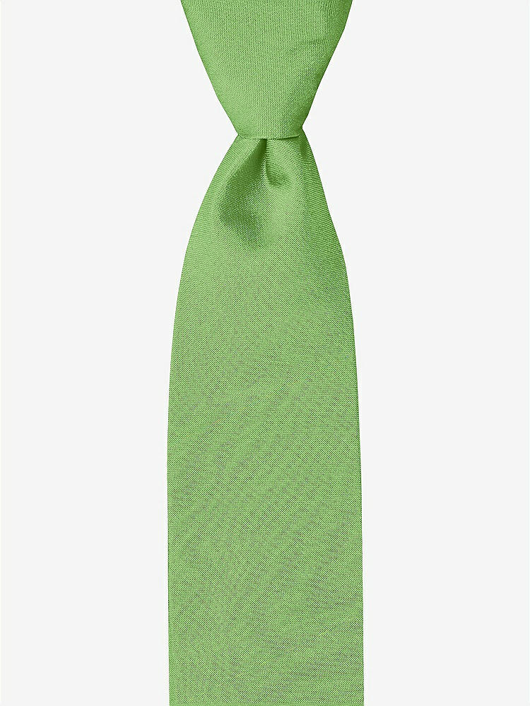 Front View - Appletini Peau de Soie Boy's 50" Necktie by After Six