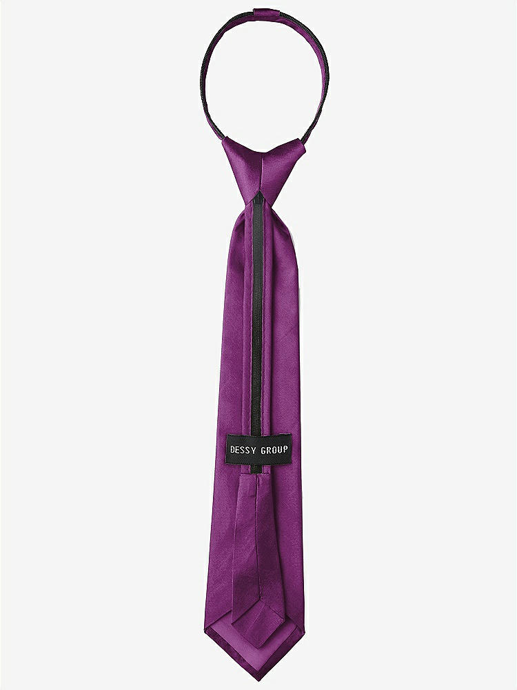 Back View - Paradise Peau de Soie Boy's 14" Zip Necktie by After Six