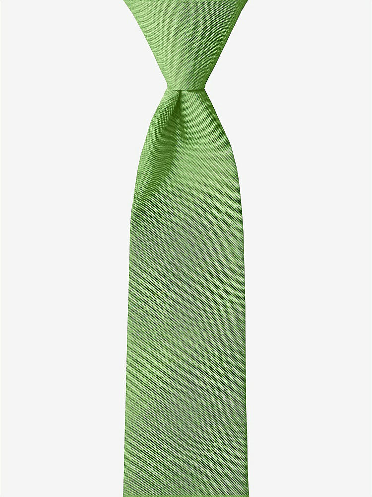 Front View - Appletini Peau de Soie Boy's 14" Zip Necktie by After Six