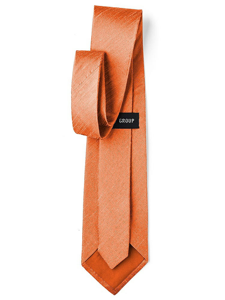 Back View - Mandarin Dupioni Boy's 50" Necktie by After Six