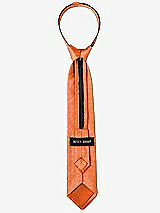 Rear View Thumbnail - Mandarin Dupioni Boy's 14" Zip Necktie by After Six