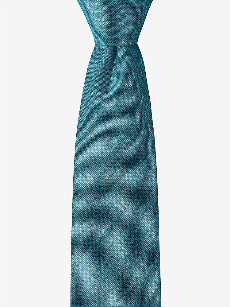 Front View - Niagara Dupioni Boy's 14" Zip Necktie by After Six