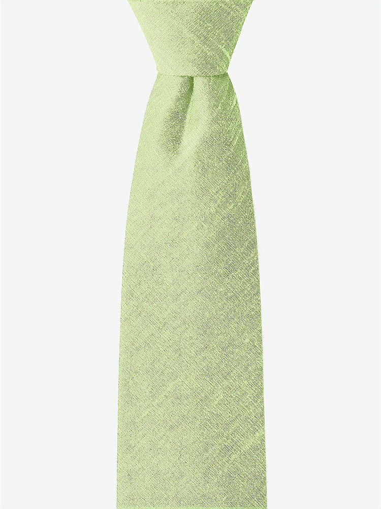 Front View - Pistachio Dupioni Boy's 14" Zip Necktie by After Six