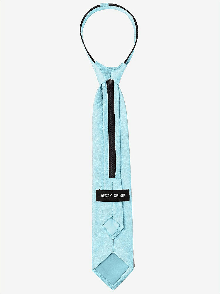 Back View - Skylark Dupioni Boy's 14" Zip Necktie by After Six