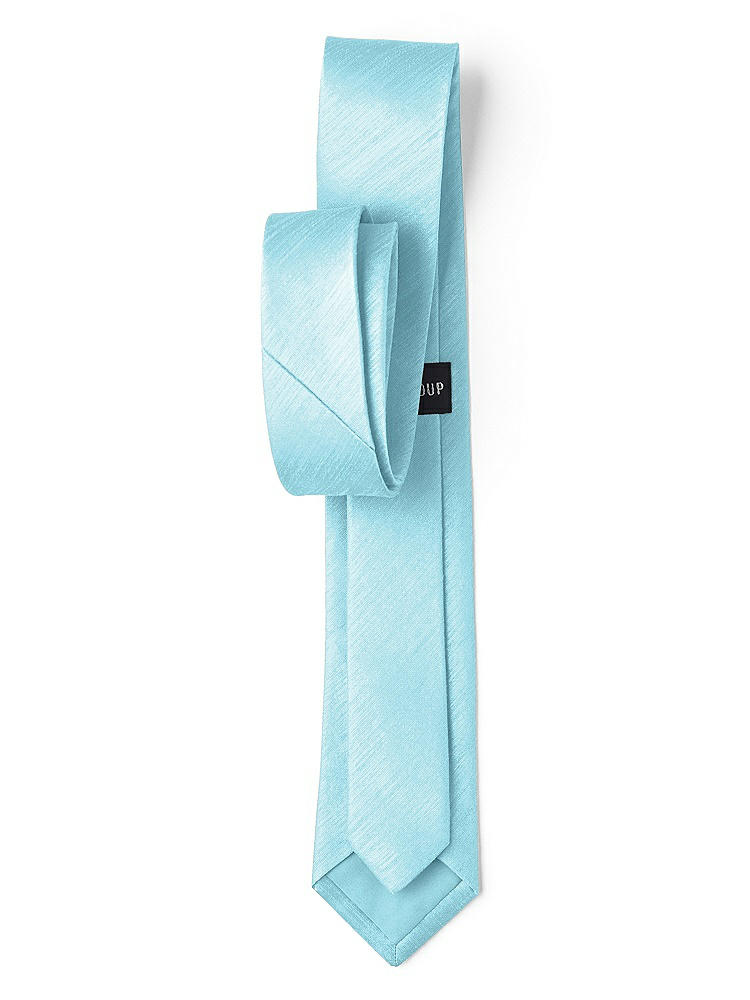 Back View - Skylark Dupioni Narrow Ties by After Six