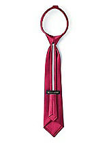 Rear View Thumbnail - Valentine Matte Satin Boy's 14" Zip Necktie by After Six