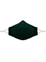 Front View Thumbnail - Evergreen Lux Velvet Reusable Face Mask