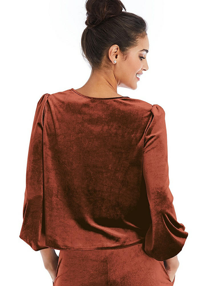 Back View - Auburn Moon Velvet Pullover Puff Sleeve Top - Rue