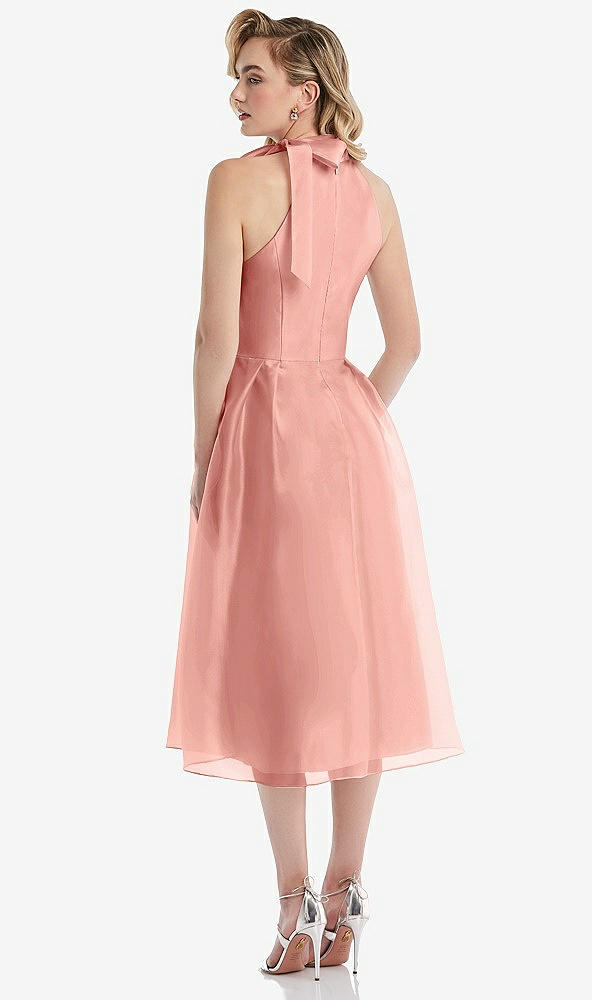 Back View - Apricot Scarf-Tie High-Neck Halter Organdy Midi Dress