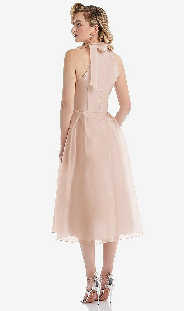 Back View - Cameo Scarf-Tie High-Neck Halter Organdy Midi Dress