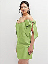 Alt View 1 Thumbnail - Mojito Satin Off-the-Shoulder Bow Corset Fit and Flare Mini Dress