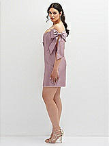 Alt View 3 Thumbnail - Dusty Rose Satin Off-the-Shoulder Bow Corset Fit and Flare Mini Dress