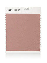 Front View Thumbnail - Neu Nude Neu Stretch Charmeuse Swatch