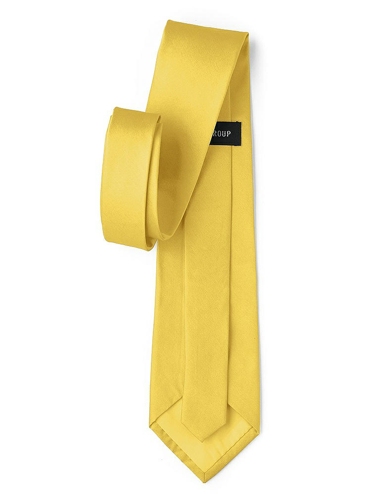 Back View - Daffodil Peau de Soie Neckties by After Six