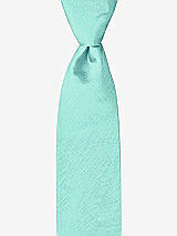 Front View Thumbnail - Coastal Peau de Soie Boy's 50" Necktie by After Six