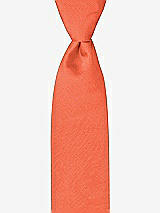 Front View Thumbnail - Fiesta Peau de Soie Boy's 50" Necktie by After Six