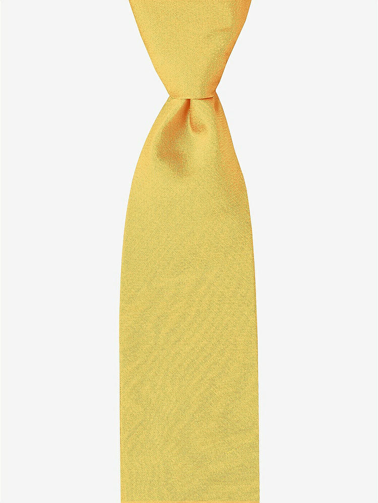 Front View - Mango Peau de Soie Boy's 50" Necktie by After Six