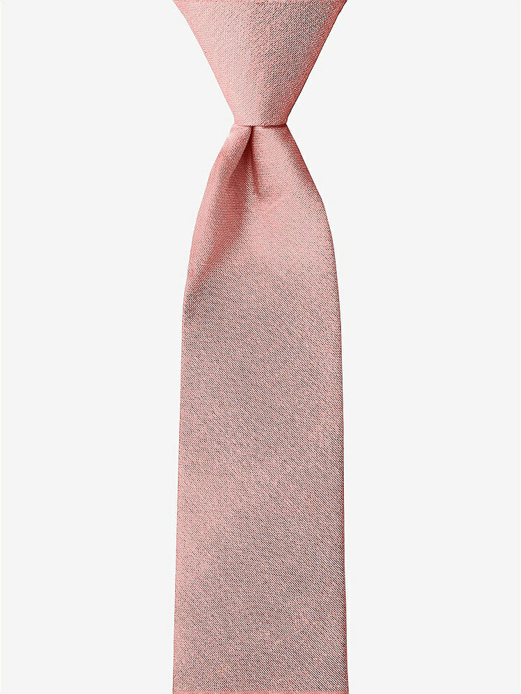 Front View - Apricot Peau de Soie Boy's 14" Zip Necktie by After Six