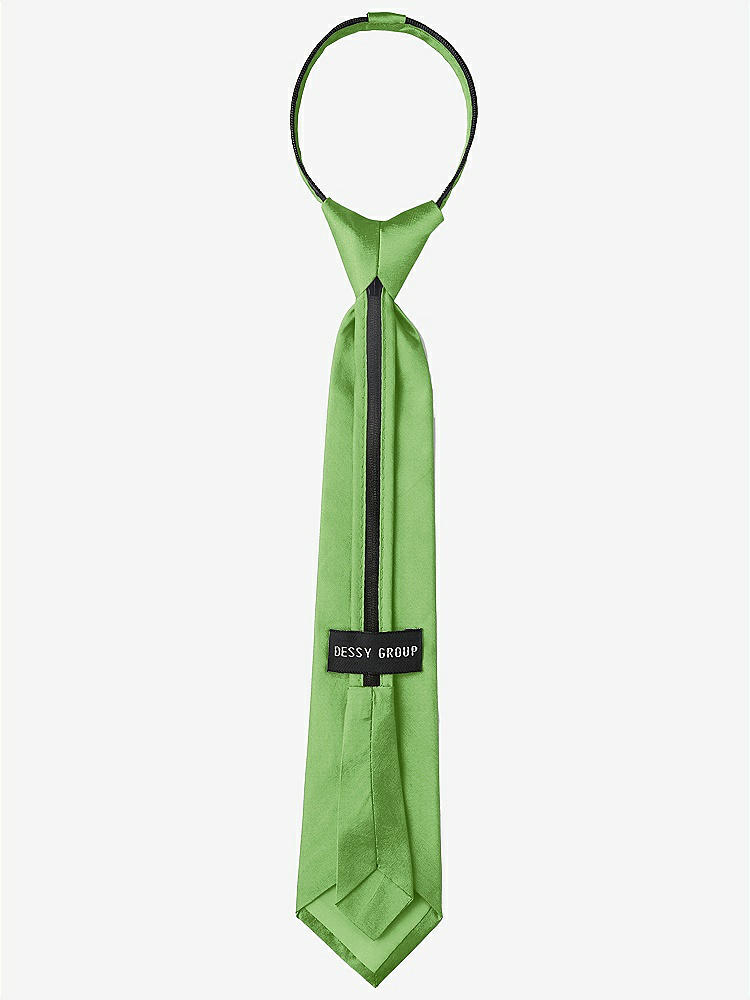 Back View - Appletini Peau de Soie Boy's 14" Zip Necktie by After Six