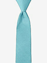 Front View Thumbnail - Aquamarine Peau de Soie Boy's 14" Zip Necktie by After Six