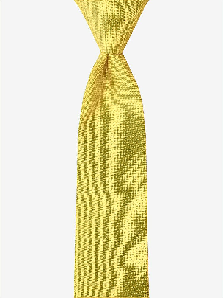 Front View - Daffodil Peau de Soie Boy's 14" Zip Necktie by After Six