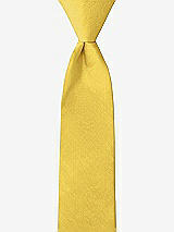 Front View Thumbnail - Daffodil Peau de Soie Boy's 14" Zip Necktie by After Six