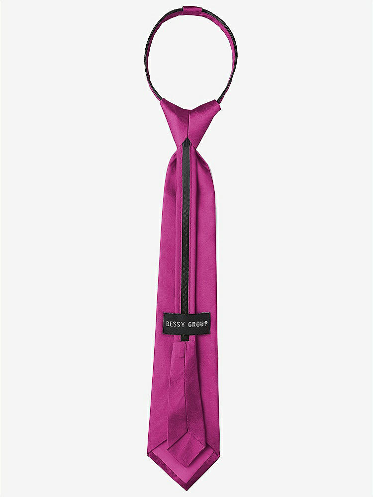 Back View - Fruit Punch Peau de Soie Boy's 14" Zip Necktie by After Six