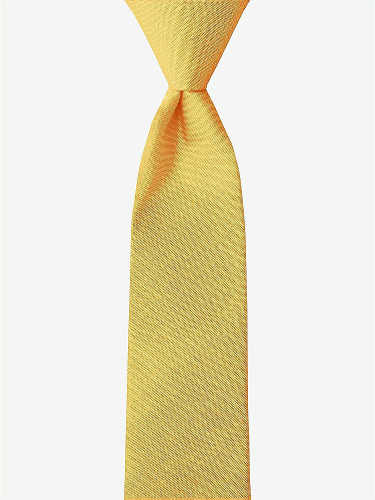 Front View - Mango Peau de Soie Boy's 14" Zip Necktie by After Six