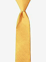 Front View Thumbnail - Mango Peau de Soie Boy's 14" Zip Necktie by After Six