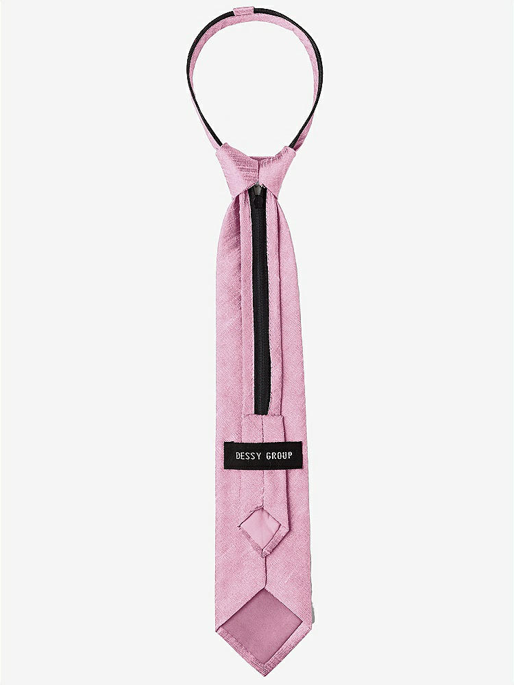 Back View - Rosebud Dupioni Boy's 14" Zip Necktie by After Six