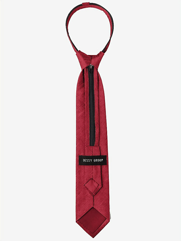 Back View - Barcelona Dupioni Boy's 14" Zip Necktie by After Six