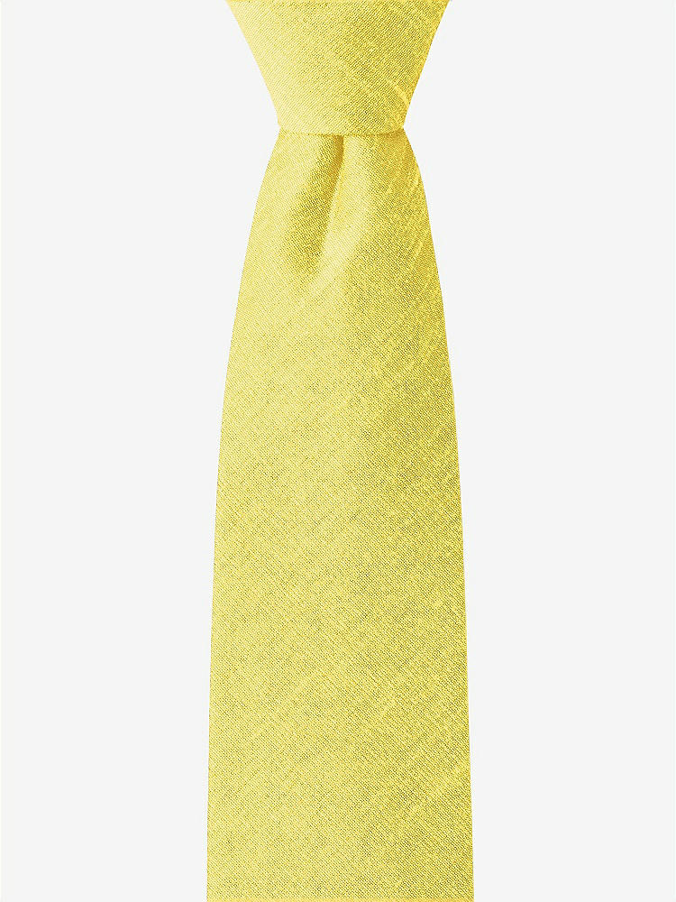 Front View - Daisy Dupioni Boy's 14" Zip Necktie by After Six