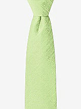 Front View Thumbnail - Pistachio Dupioni Boy's 14" Zip Necktie by After Six