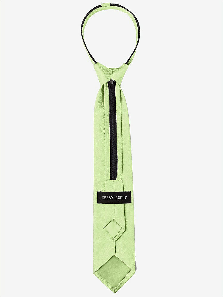 Back View - Pistachio Dupioni Boy's 14" Zip Necktie by After Six